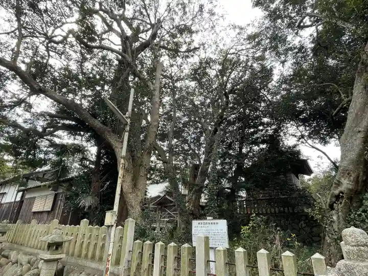 高屋八幡神社(滋賀県)