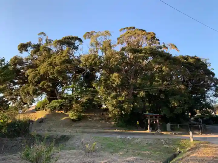 山神社のその他建物