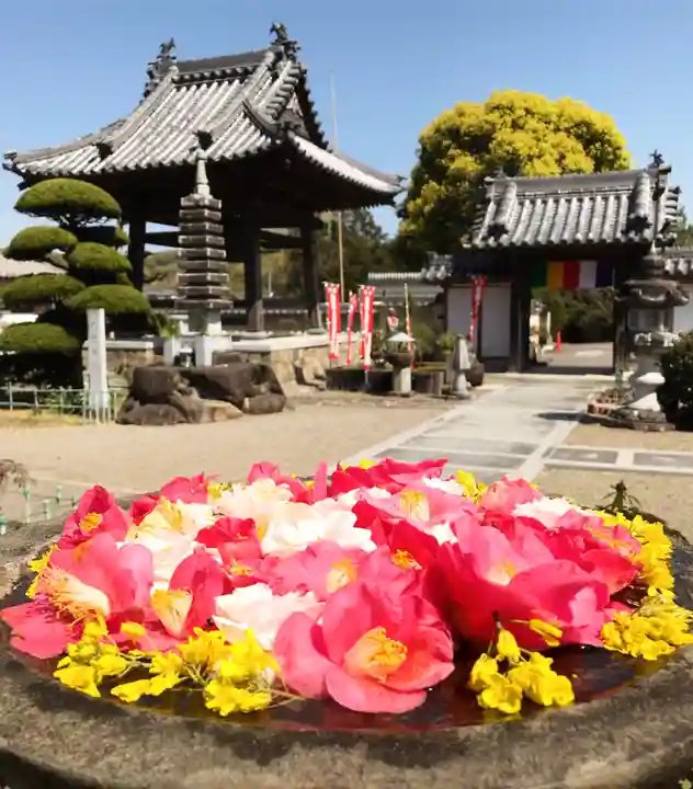 真言宗 善通寺派 薬王寺(香川県)