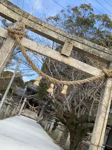 国津姫神社の鳥居