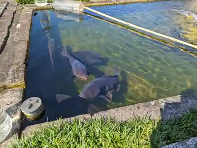 華光寺(京都府)