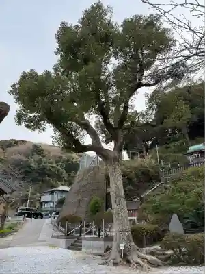 走水神社(神奈川県)