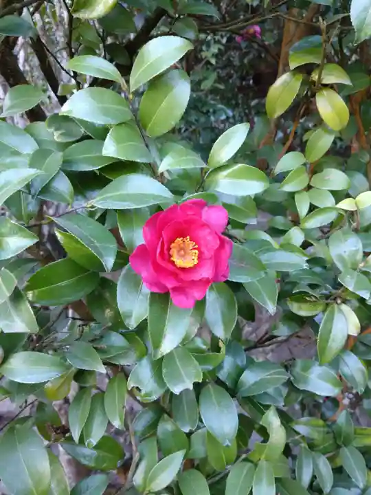 高千穂神社(宮崎県)