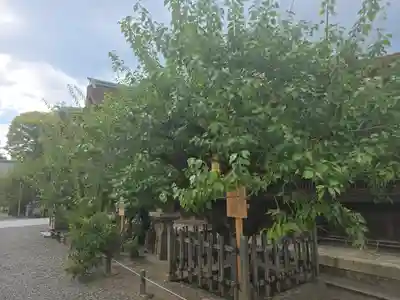 北野天満宮(京都府)