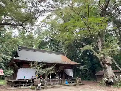 中村八幡宮(栃木県)
