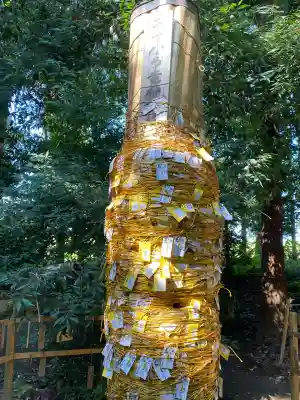 下野 星宮神社(栃木県)