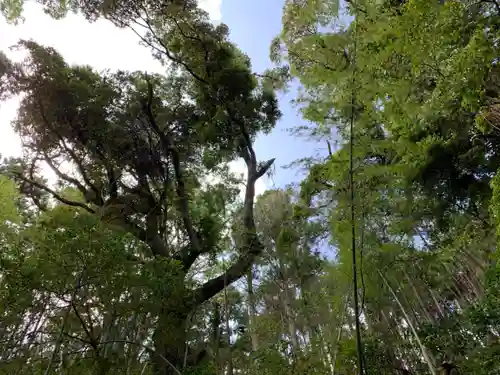 熊野神社の自然