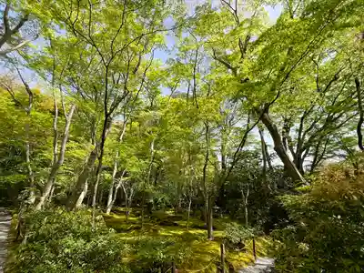 祇王寺(京都府)