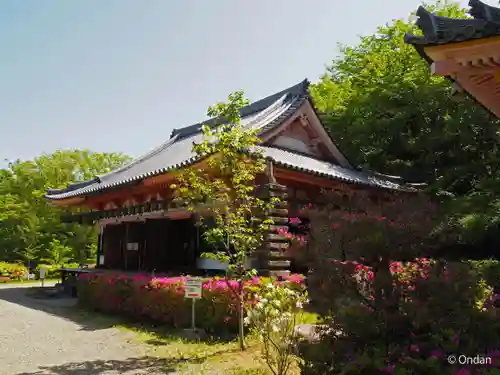 南法華寺（壷阪寺）(奈良県)