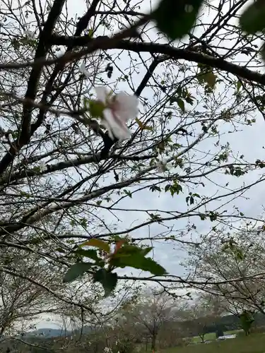 亀岡八幡宮(栃木県)