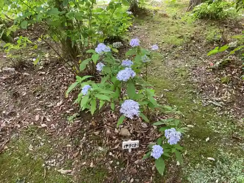 惣河内神社の自然