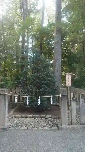 鶴岡八幡宮の自然