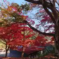 地蔵寺(大阪府)