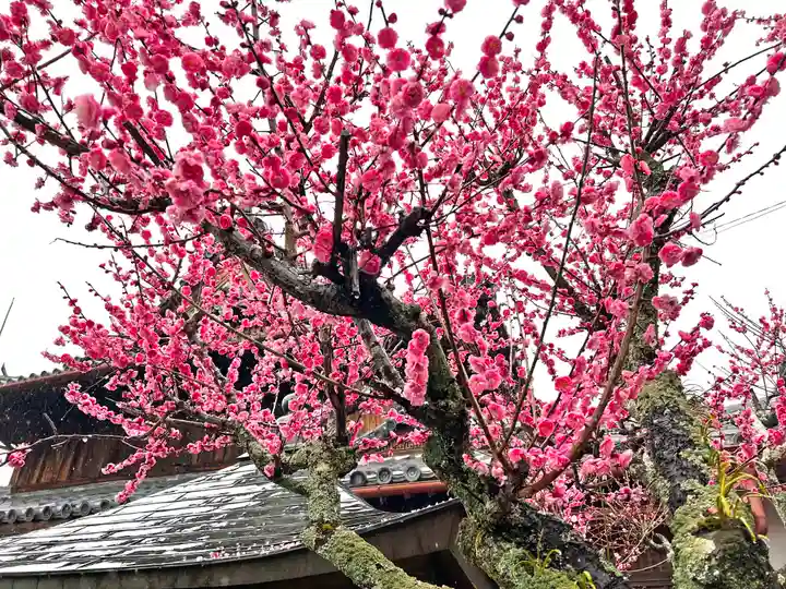 切幡寺(徳島県)