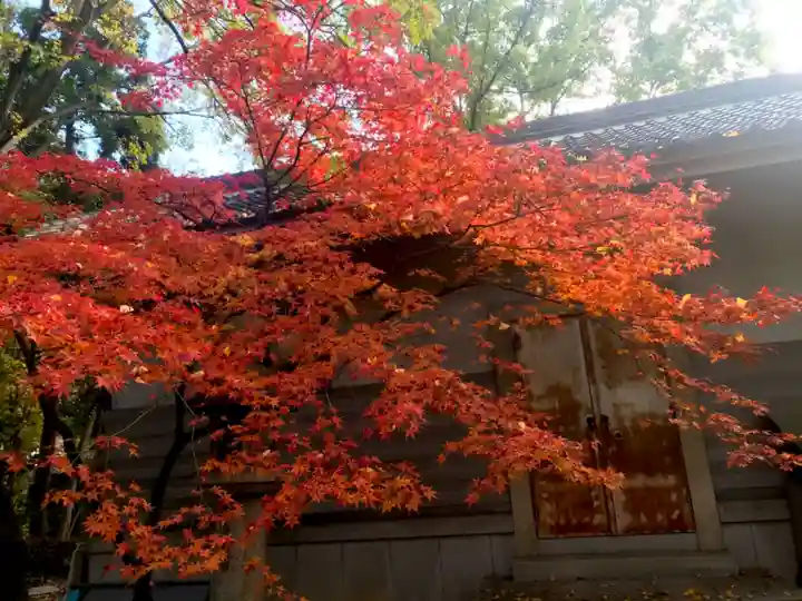 豊國神社の自然