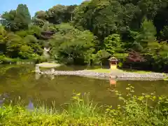 浄瑠璃寺(京都府)