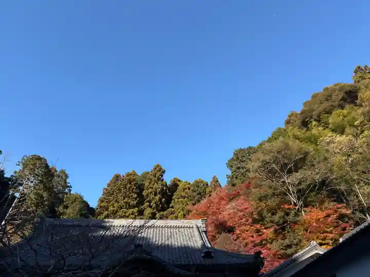 財賀寺(愛知県)