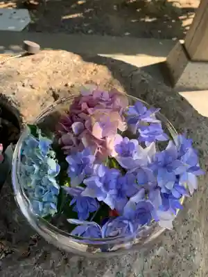 彌都加伎神社の手水舎