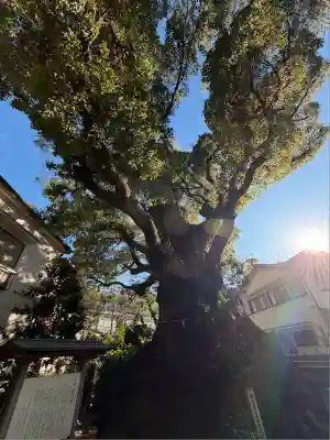 五所神社(神奈川県)