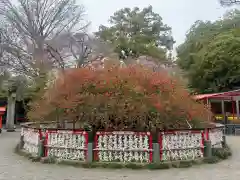 冠稲荷神社(群馬県)