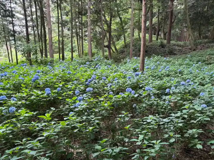 大宝八幡宮(茨城県)