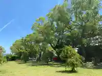 美奈宜神社(福岡県)