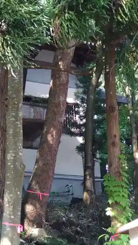 太平山三吉神社総本宮(秋田県)