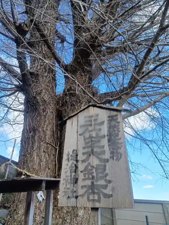 堤治神社の御朱印