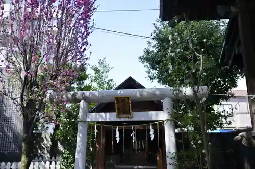 八幡八雲神社の鳥居