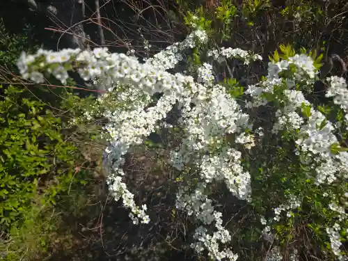小松寺(大阪府)