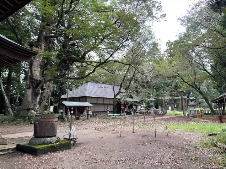 中村八幡宮(栃木県)