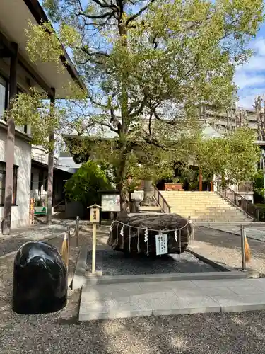 亀戸 香取神社(東京都)