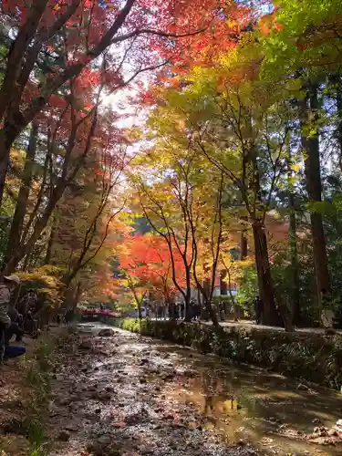 小國神社の自然