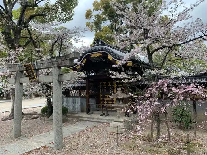善峯寺の本殿・本堂