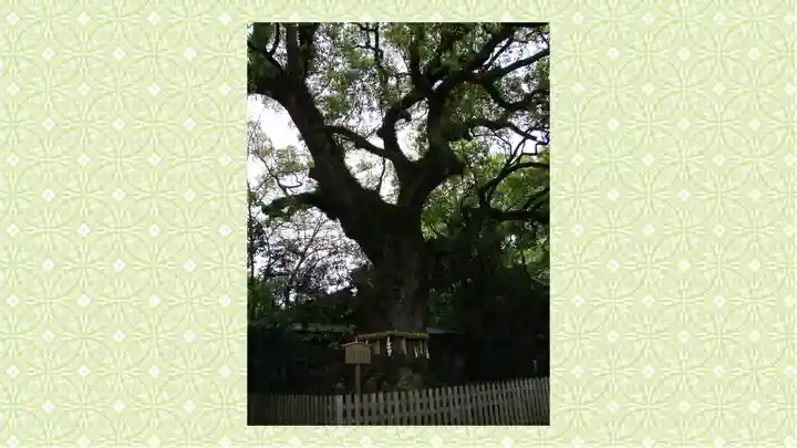 熱田神宮(愛知県)