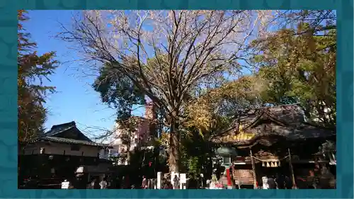 田無神社(東京都)