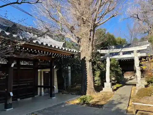 高円寺(東京都)