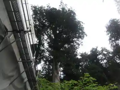 日光二荒山神社(栃木県)