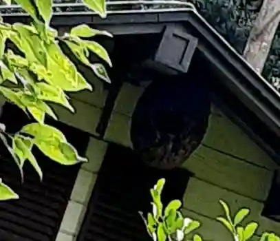 永谷天満宮(神奈川県)