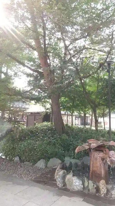 櫻木神社のその他建物