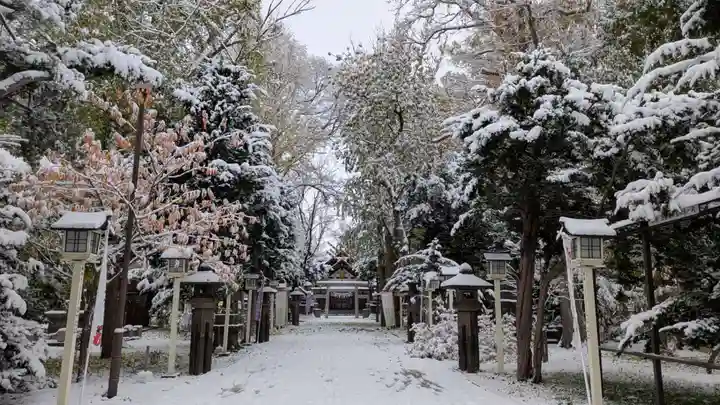 新琴似神社(北海道)