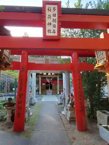 多田朝日森稲荷神社の鳥居