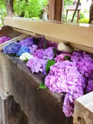 鳩森八幡神社の手水舎