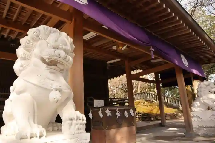 前玉神社の{uncategorized: "未分類", other: "その他", undefined: "問題あり", building: "その他建物", grave: "お墓", sacred_gate: "鳥居", guardian: "狛犬", statue: "像", buddha: "仏像", history: "歴史", nature: "自然", garden: "庭園", animal: "動物", pagoda: "塔", temizu: "手水舎", mountain_gate: "山門・神門", sanctuary: "本殿・本堂", subordinate: "末社・摂社", art: "芸術", scenery: "景色", jizo: "地蔵", ema: "絵馬", goshuin: "御朱印", omikuji: "おみくじ", items: "授与品その他", amulet: "お守り", goshuincho: "御朱印帳", eats: "食事", festival: "お祭り", votive_dance: "神楽", shichigosan: "七五三参", wedding: "結婚式", experience: "体験その他", initially: "初詣", around: "周辺", anti_infection: "感染症対策"}