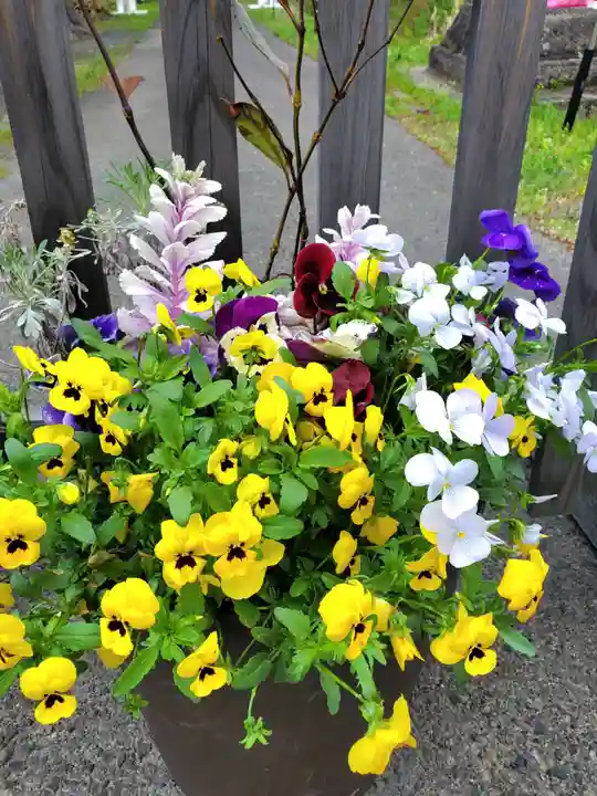 高司神社〜むすびの神の鎮まる社〜(福島県)