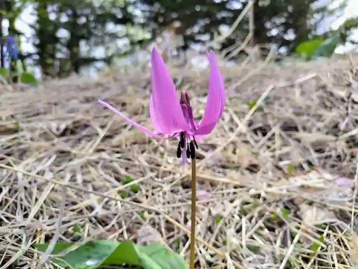 稲荷神社(北海道)