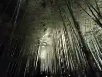 高台寺(高台寿聖禅寺・高臺寺)(京都府)