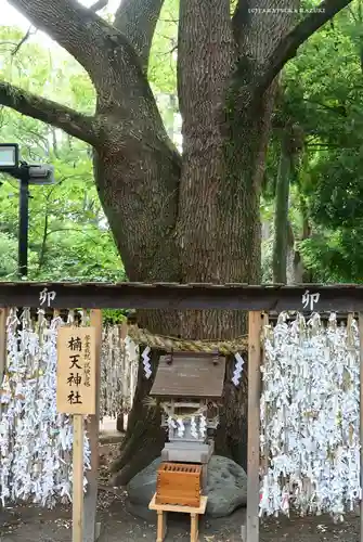 平塚八幡宮(神奈川県)