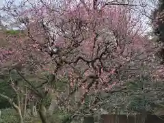 伊勢神社の自然