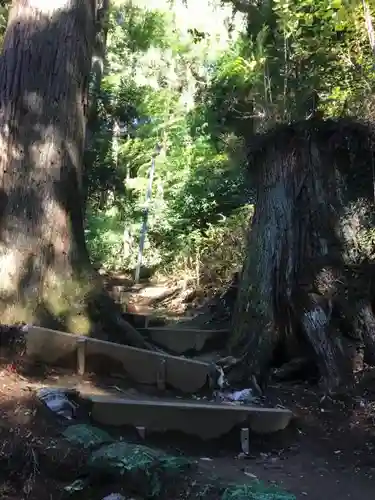 東金砂神社の建物その他